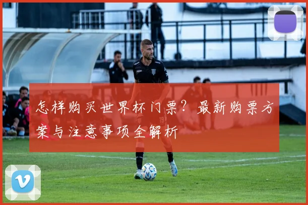 怎样购买世界杯门票？最新购票方案与注意事项全解析