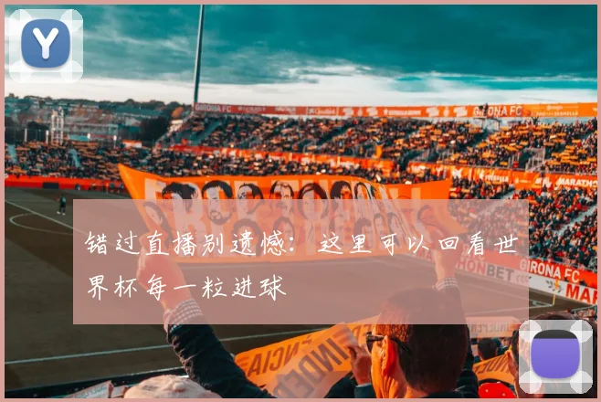 错过直播别遗憾：这里可以回看世界杯每一粒进球