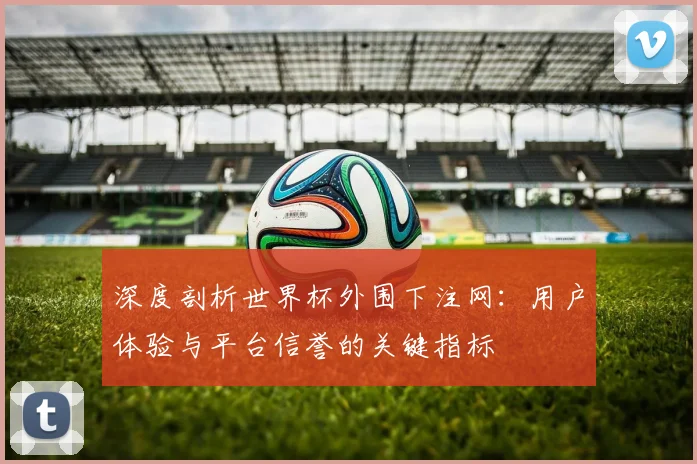 深度剖析世界杯外围下注网:用户体验与平台信誉的关键指标