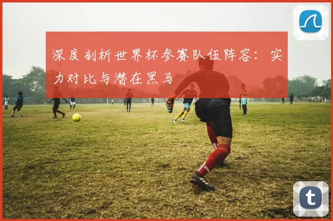 深度剖析世界杯参赛队伍阵容：实力对比与潜在黑马