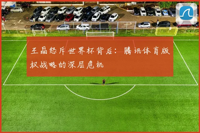 王晶怒斥世界杯背后:腾讯体育版权战略的深层危机