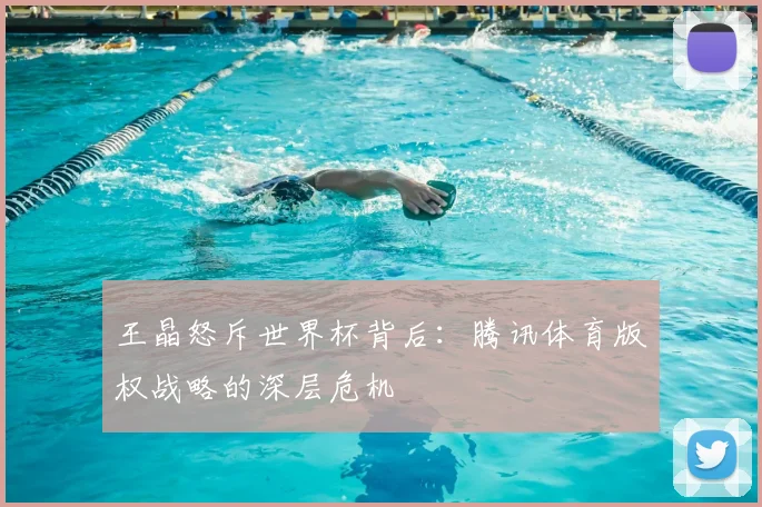 王晶怒斥世界杯背后:腾讯体育版权战略的深层危机