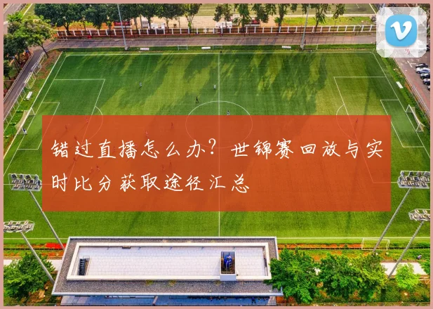 错过直播怎么办？世锦赛回放与实时比分获取途径汇总