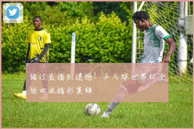 错过直播别遗憾！乒乓球世界杯全场回放精彩集锦