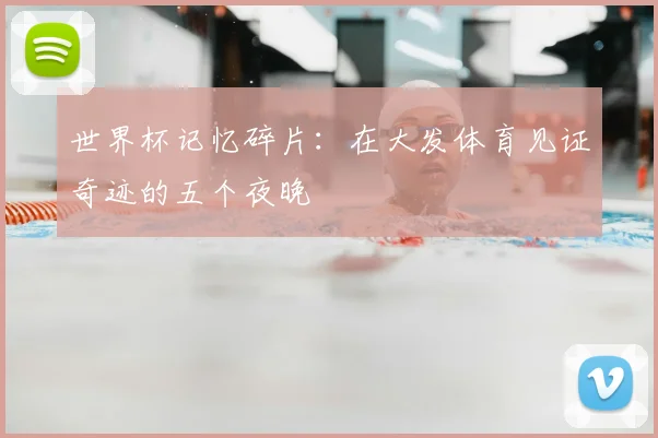 世界杯记忆碎片:在大发体育见证奇迹的五个夜晚
