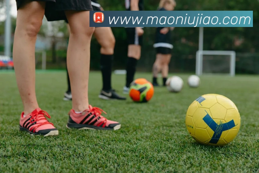 App Interface Preview