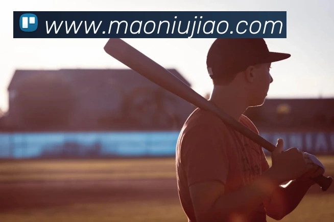 开云体育APP 封面图